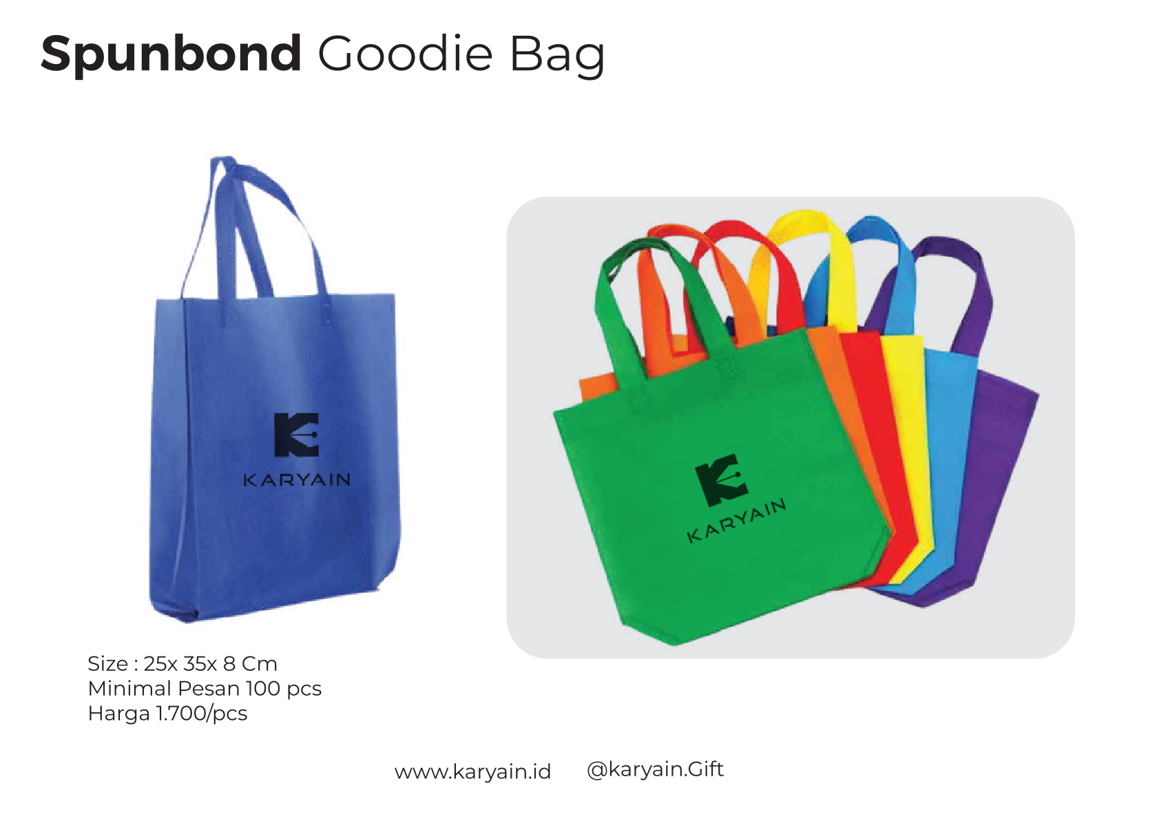 Spunbond Goodie Bag