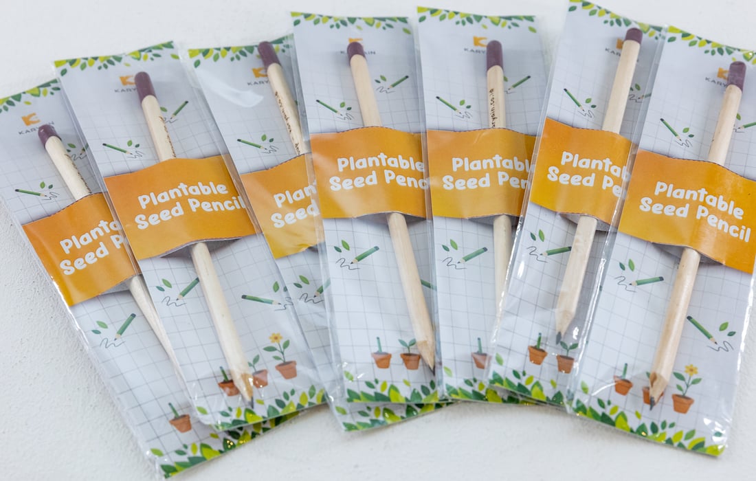 Pensil Kayu Benih